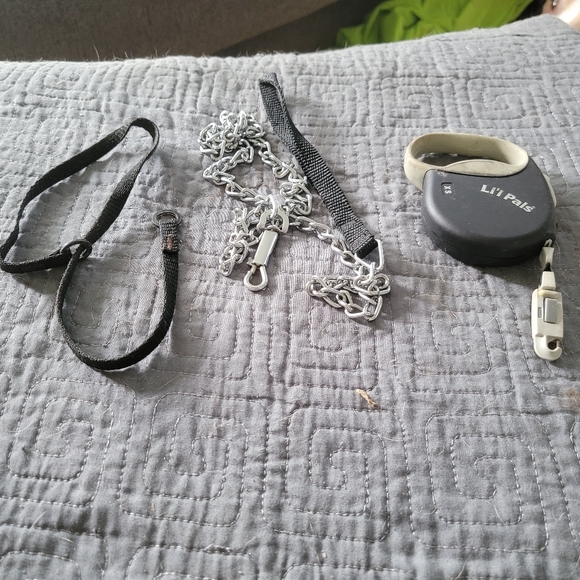 Retractable leash, chain leash and collar for small dog, good condition - Picture 1 of 4